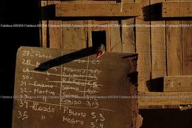 Foto 0728: Muestra Anual 2008