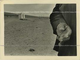 Foto 024: Muestra Anual 1981