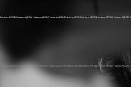 Foto 1075: Muestra Anual 2009