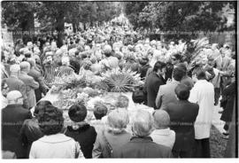 Foto 09: Agencias de Noticias