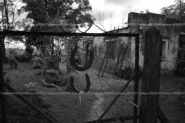 Foto 402: Muestra Anual 2005