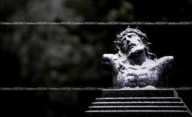 Foto 0592: Muestra Anual 2008