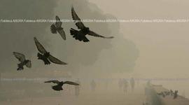 Foto 0822: Muestra Anual 2008