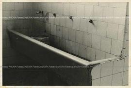Foto 005: Muestra Anual 1981