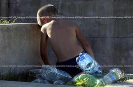 Foto 217: Muestra Anual 2005