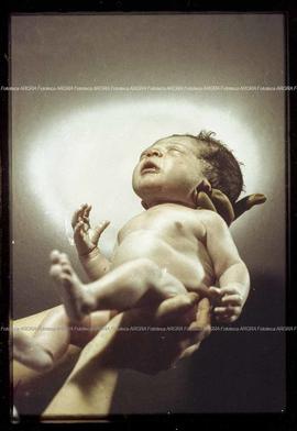 Foto 038: Muestra Anual 1981