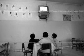 Foto 0355: Muestra Anual 2008