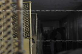 Foto 1465: Muestra Anual 2009