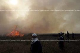 Foto 1060: Muestra Anual 2008
