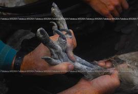 Foto 0622: Muestra Anual 2008