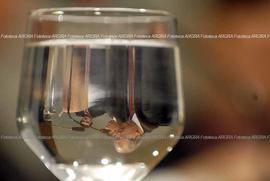 Foto 1412: Muestra Anual 2009
