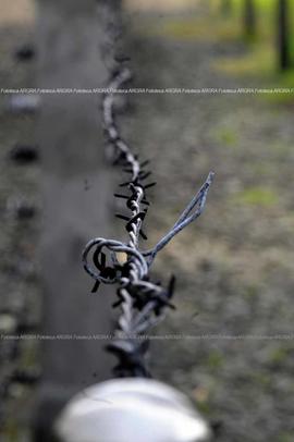 Foto 0357: Muestra Anual 2009