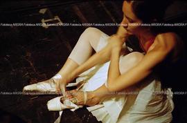 Foto 676: Muestra Anual 2005