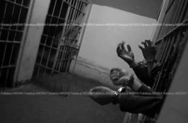 Foto 219: Muestra Anual 2005