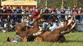Foto 536: Muestra Anual 2005