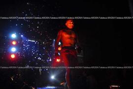 Foto 0387: Muestra Anual 2008
