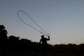 Foto 0063: Muestra Anual 2008