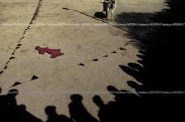 Foto 034: Muestra Anual 2005
