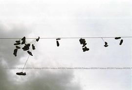 Foto 321: Muestra Anual 2005