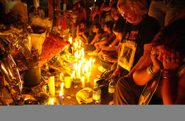 Foto 102: Muestra Anual 2005