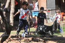 Foto 0102: Muestra Anual 2009