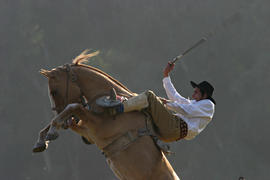 Foto 0065: Muestra Anual 2008